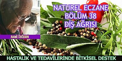 DİŞ AĞRISINA BİTKİSEL DESTEK