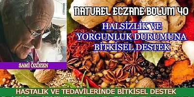 HALSİZLİK VE YORGUNLUK İÇİN BİTKİSEL DESTEK
