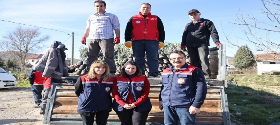 UŞAK'TA ZEYTİN ÜRETİMİNİ GELİŞTİRME PROJESİ BAŞLADI