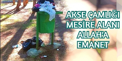 Akse Çamlığı Mesire Alanı İlgisizlikten Çöplüğe Dönmüş Durumda.