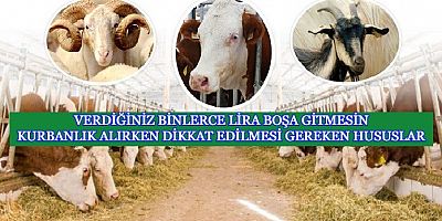 KURBAN İBADETİNİZ BOŞA GİTMESİN