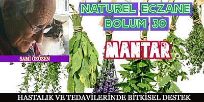 MANTAR RAHATSIZLIĞINA BİTKİSEL DESTEK