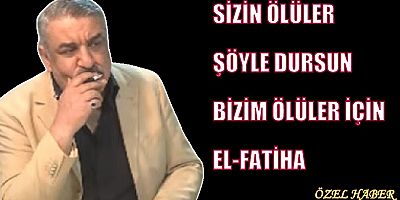 TEK GÜNAH KEÇİSİ ÖZKAN YALIM MI ?