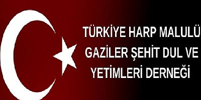 TÜRKİYE HARP MALULÜ GAZİLER, ŞEHİT DUL VE YETİMLERİ DERNEĞİ  BASIN AÇIKLAMASI