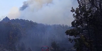 UŞAK'IN BANAZ İLÇESİNDE ÇIKAN YANGIN BÜYÜYOR..