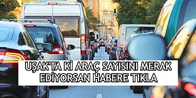 UŞAK'TA KAÇ OTOMOBİL, OTOBÜS, MİNİBÜS VE MOTORSİKLET VAR 