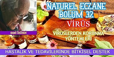 VİRÜSLERDEN NASIL KORUNURUZ VİRÜSLERE KARŞI BİTKİSEL DESTEK.