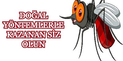 YAZ AYLARININ EN BÜYÜK ÇİLELERİNDEN BİRİ SİVRİSİNEKLER